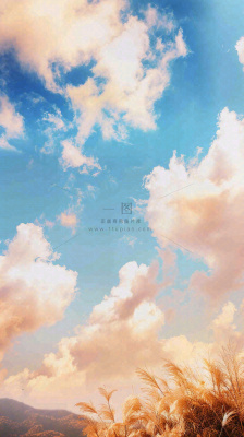 秋天蓝天户外芦苇草，立秋秋分摄影图