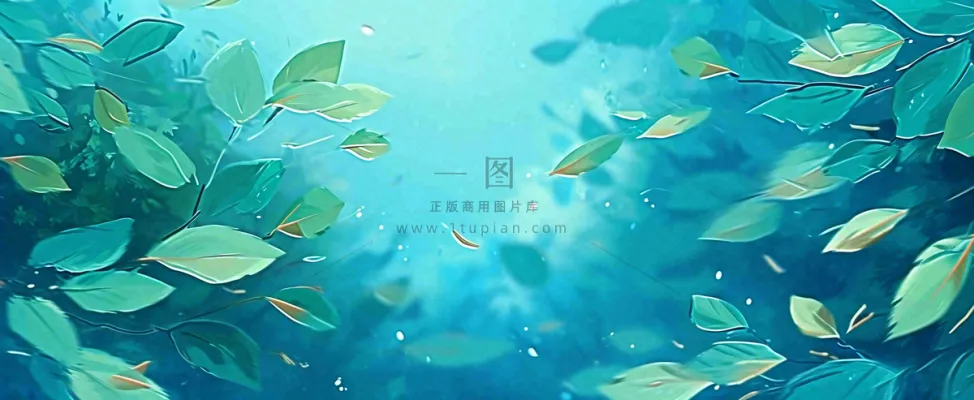 夏天湖面落叶荷花荷叶水面仰视,夏至小暑大暑 夏天湖面落叶荷花荷叶水面仰视,夏至小暑大暑