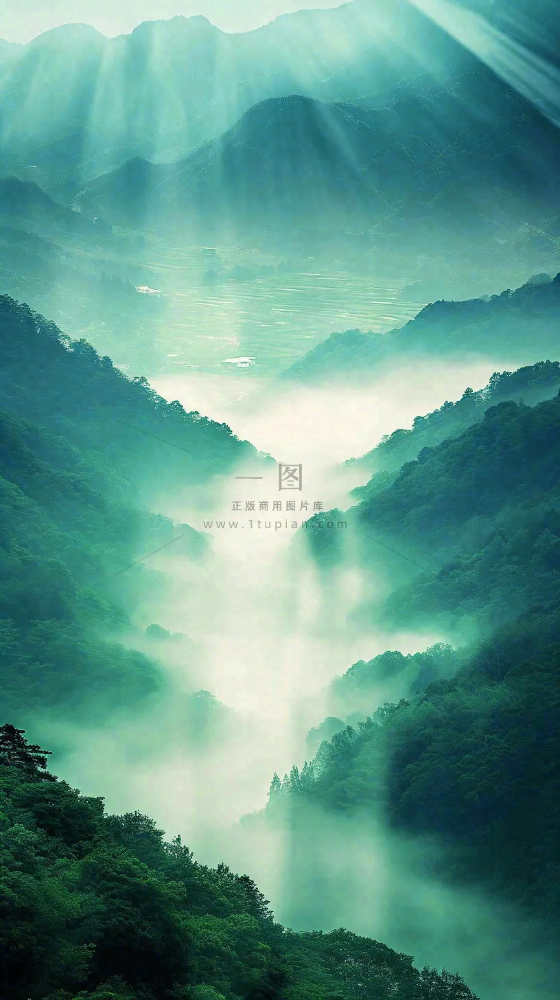 中国风高山绿植森林丛林,阳光蓝天白云,户外