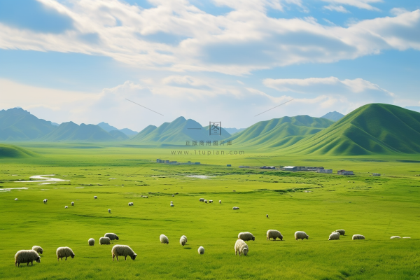 新疆春天草原风光大自然风景摄影图