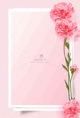 教师节粉色鲜花信封边框插画背景 教师节粉色鲜花信封边框插画背景
