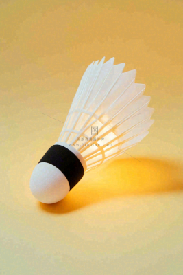 羽毛球竞技运动摄影图 