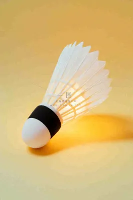 羽毛球竞技运动摄影图 