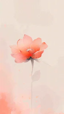 简约花朵鲜花纹理背景 简约花朵鲜花纹理背景