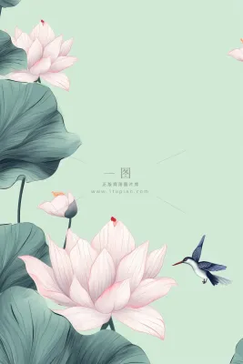 创意简约节气荷花背景 创意简约节气荷花背景