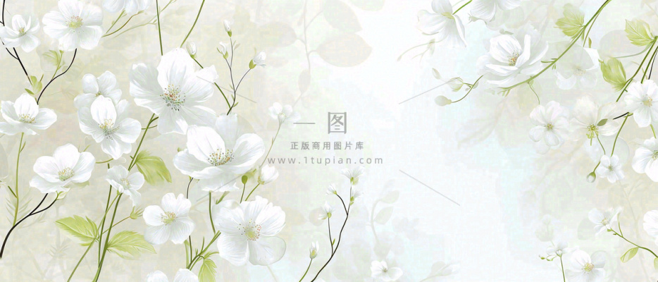 清新白色小花野花野草春天萌芽手绘，春分