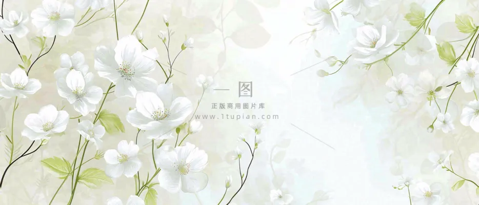 清新白色小花野花野草春天萌芽手绘,春分 清新白色小花野花野草春天萌芽手绘,春分