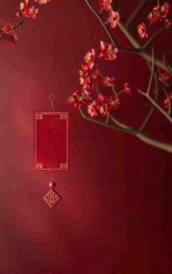 红色国风背景梅花花朵插画元旦背景