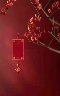 红色国风背景梅花花朵插画元旦背景