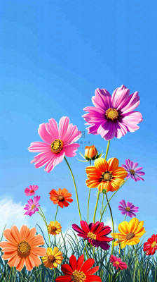 春天蓝天白云草坪鲜花，五彩缤纷鲜艳摄影图