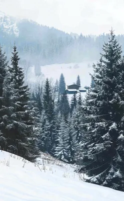 冬天寒冷白雪结冰小寒摄影图 冬天寒冷白雪结冰小寒摄影图