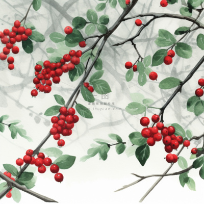 树枝上的红色果实小清新植物水墨画插画素材