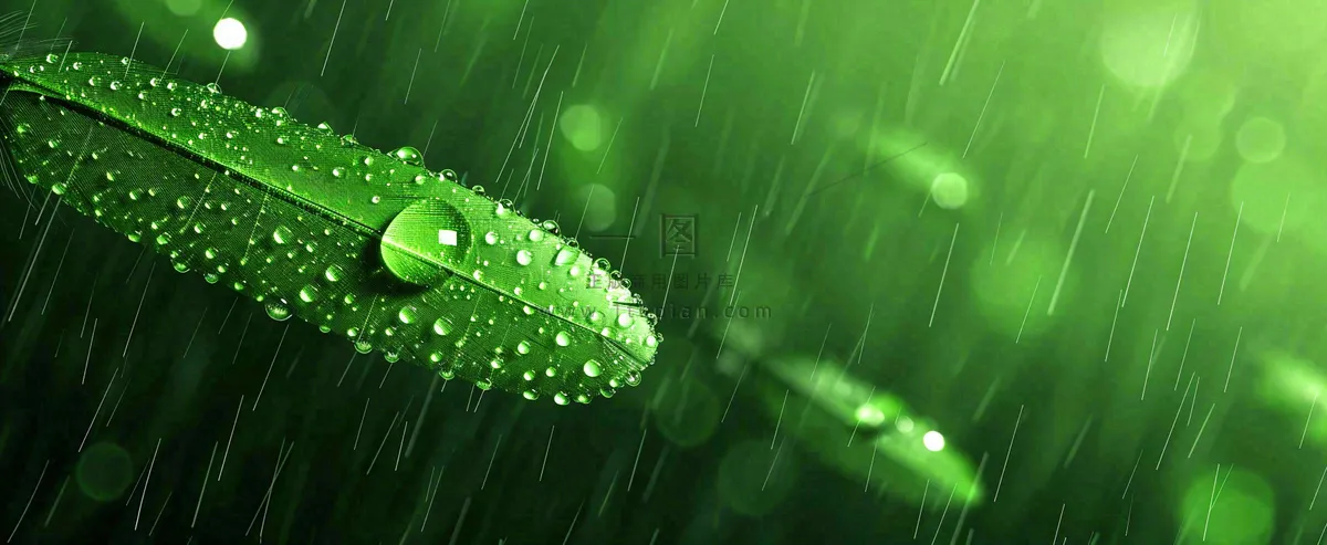 春天下雨天树叶草叶上的露珠水珠，谷雨雨水摄影图