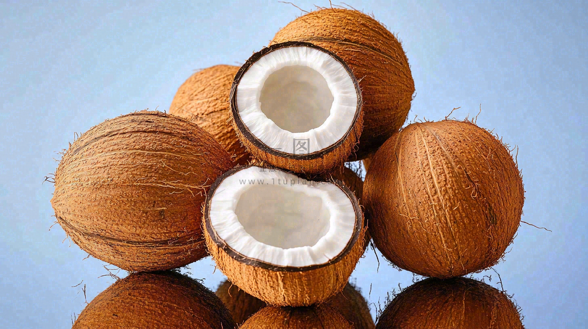 椰子椰壳椰肉摄影图