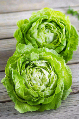 白菜蔬菜生菜食物摄影图