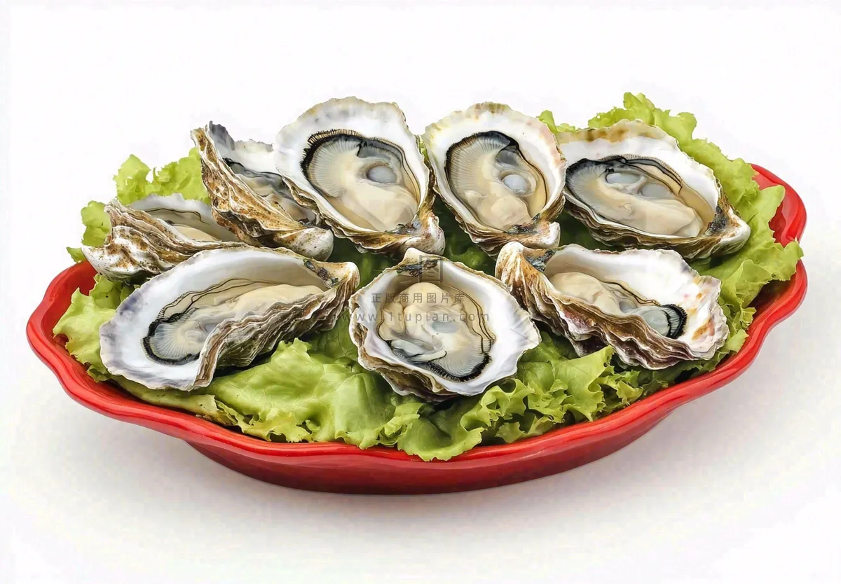 新鲜生蚝宵夜食物海鲜摄影图