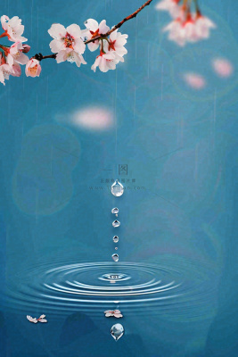 春天梅雨时节雨滴飘落在梅花滴落在水面上泛起涟漪雨水谷雨寒露摄影图 春天梅雨时节雨滴飘落在梅花滴落在水面上泛起涟漪雨水谷雨寒露摄影图