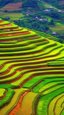 春天唯美绿色梯田种植,乡村小屋,谷雨摄影图 春天唯美绿色梯田种植,乡村小屋,谷雨摄影图
