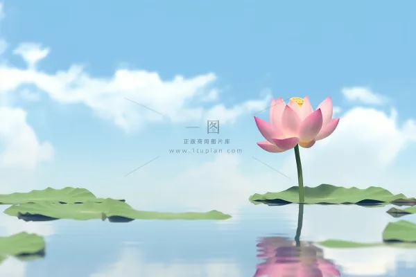 清新阳光荷花荷叶天空白云背景