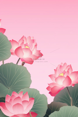 清爽简约创意粉色荷花插画背景 清爽简约创意粉色荷花插画背景