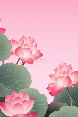 清爽简约创意粉色荷花插画背景 清爽简约创意粉色荷花插画背景