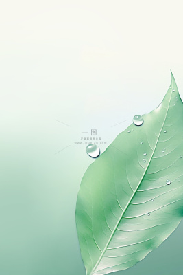 简约树叶渐变纹理节气海报背景