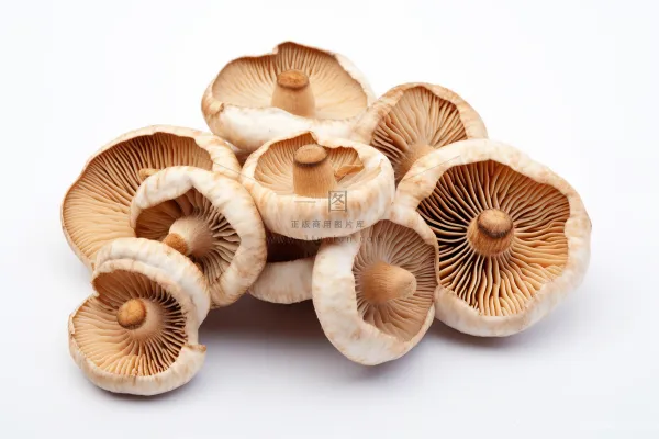 香菇蘑菇干货实物菌类摄影图