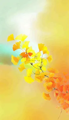 秋天黄了的银杏叶渐变色插画立秋秋分背景 秋天黄了的银杏叶渐变色插画立秋秋分背景