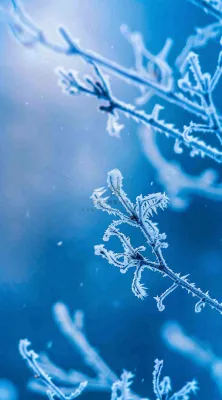 冬天寒冷白雪结冰小寒摄影图 冬天寒冷白雪结冰小寒摄影图