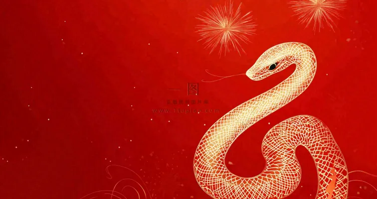 蛇年春节新年背景 蛇年春节新年背景