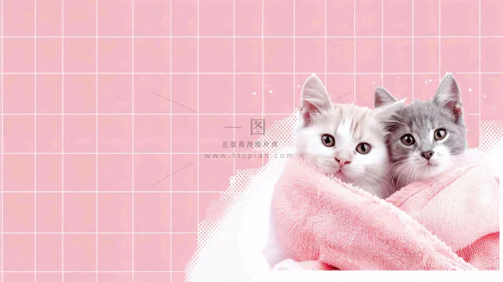 宠物常识宠物攻略猫狗卡通插画背景 宠物常识宠物攻略猫狗卡通插画背景