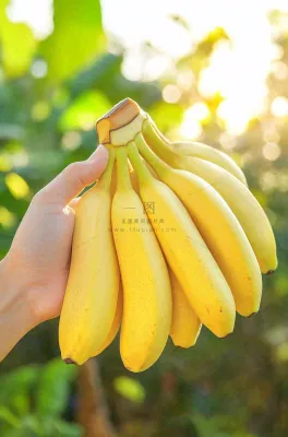 香蕉成熟水果摄影图