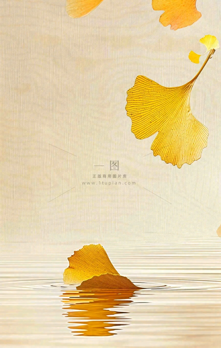 秋天秋分立秋