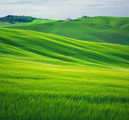 春天连绵山脉绿色草地郊游，清新惊蛰春分摄影图