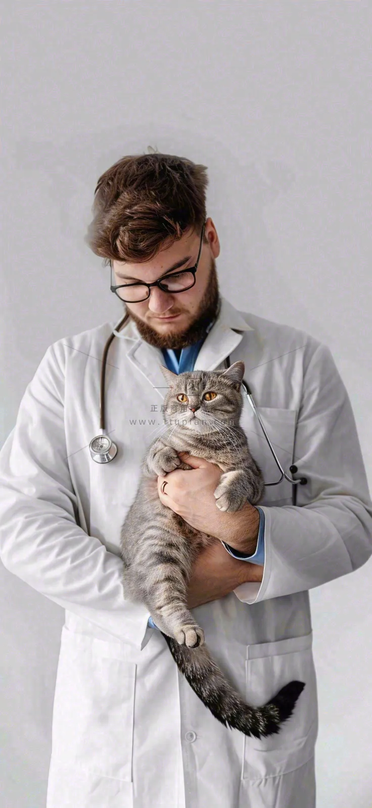 萌宠宠物医院医生抱着猫咪摄影图背景