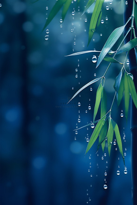 蓝色雨滴竹叶意境夜晚节气海报背景 蓝色雨滴竹叶意境夜晚节气海报背景