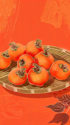 成熟的柿子水果红色背景插画霜降背景