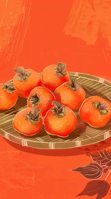 成熟的柿子水果红色背景插画霜降背景