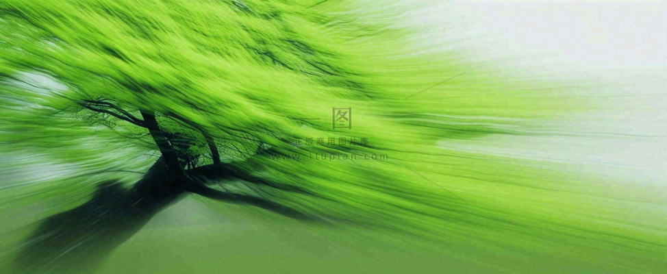 绿色植物树木绚丽虚幻背景