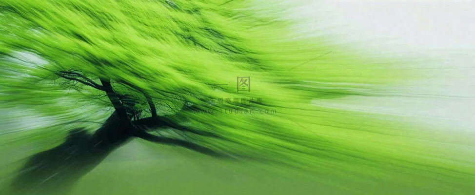 绿色植物树木绚丽虚幻背景